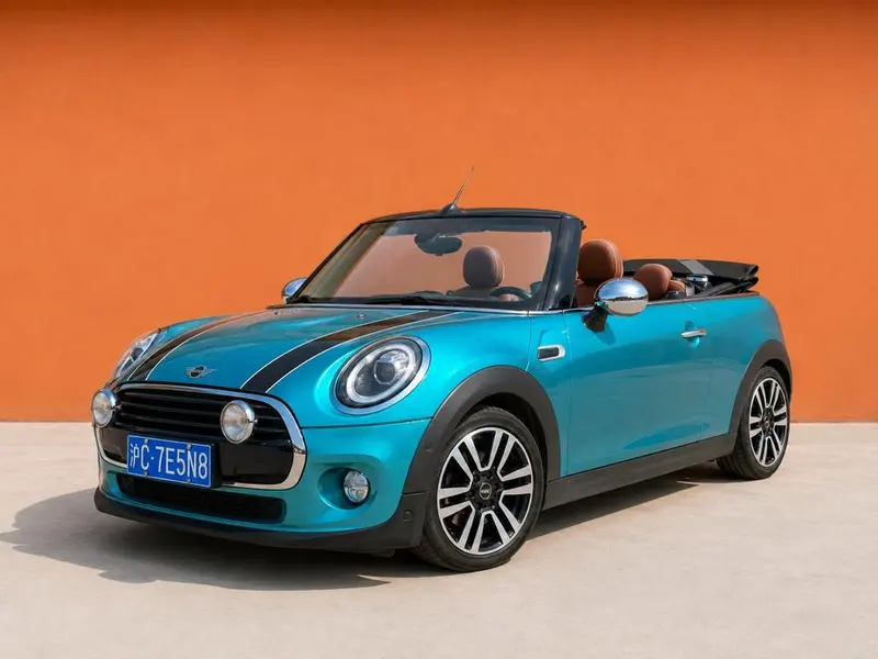 MINI MINI, 2019