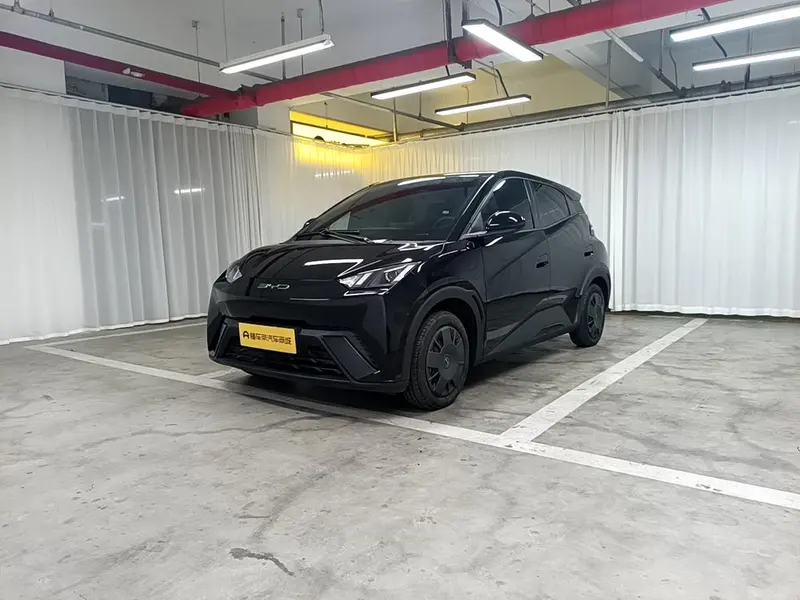 BYD Seagull, 2023