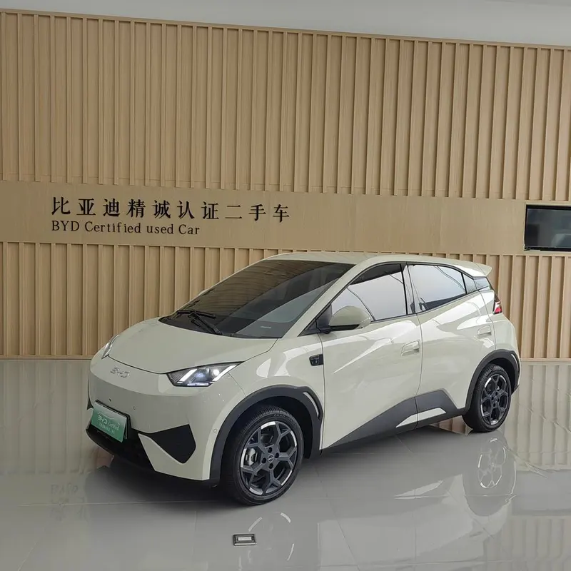 BYD Seagull, 2025
