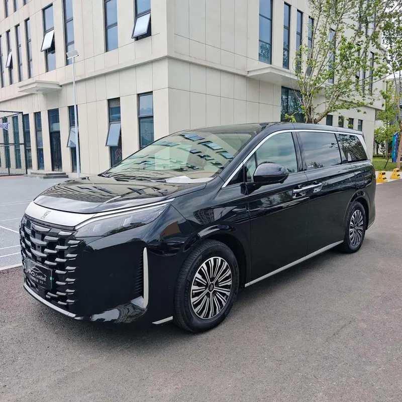 BYD Xia, 2025