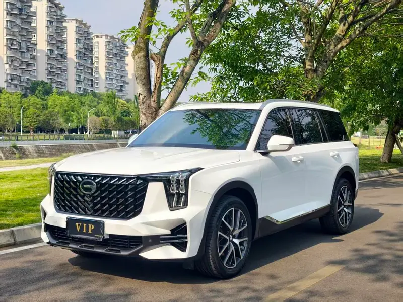 GAC Trumpchi Trumpchi GS8, 2024