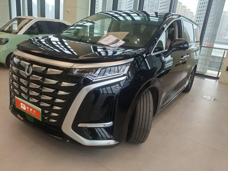 Denza D9 DM, 2024