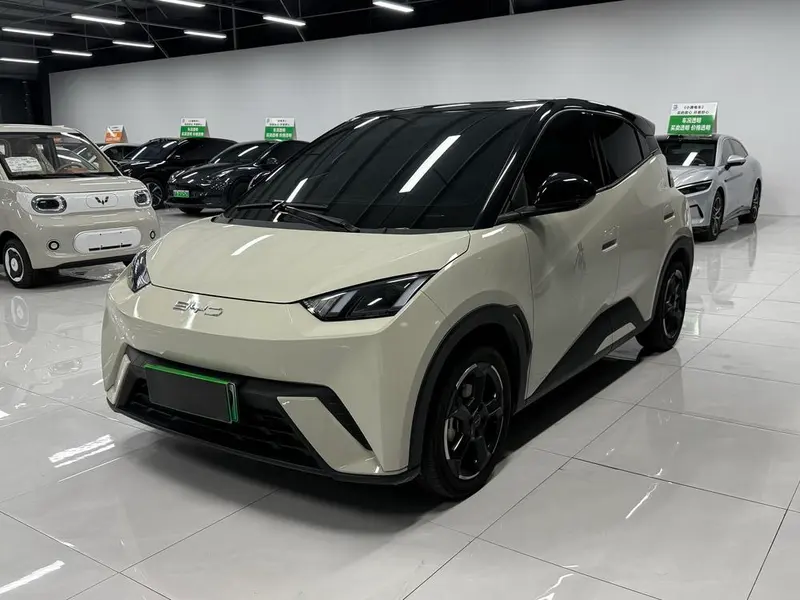 BYD Seagull, 2023