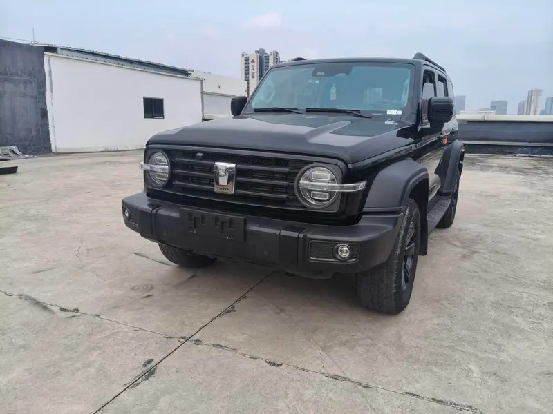 Tank 300, 2021