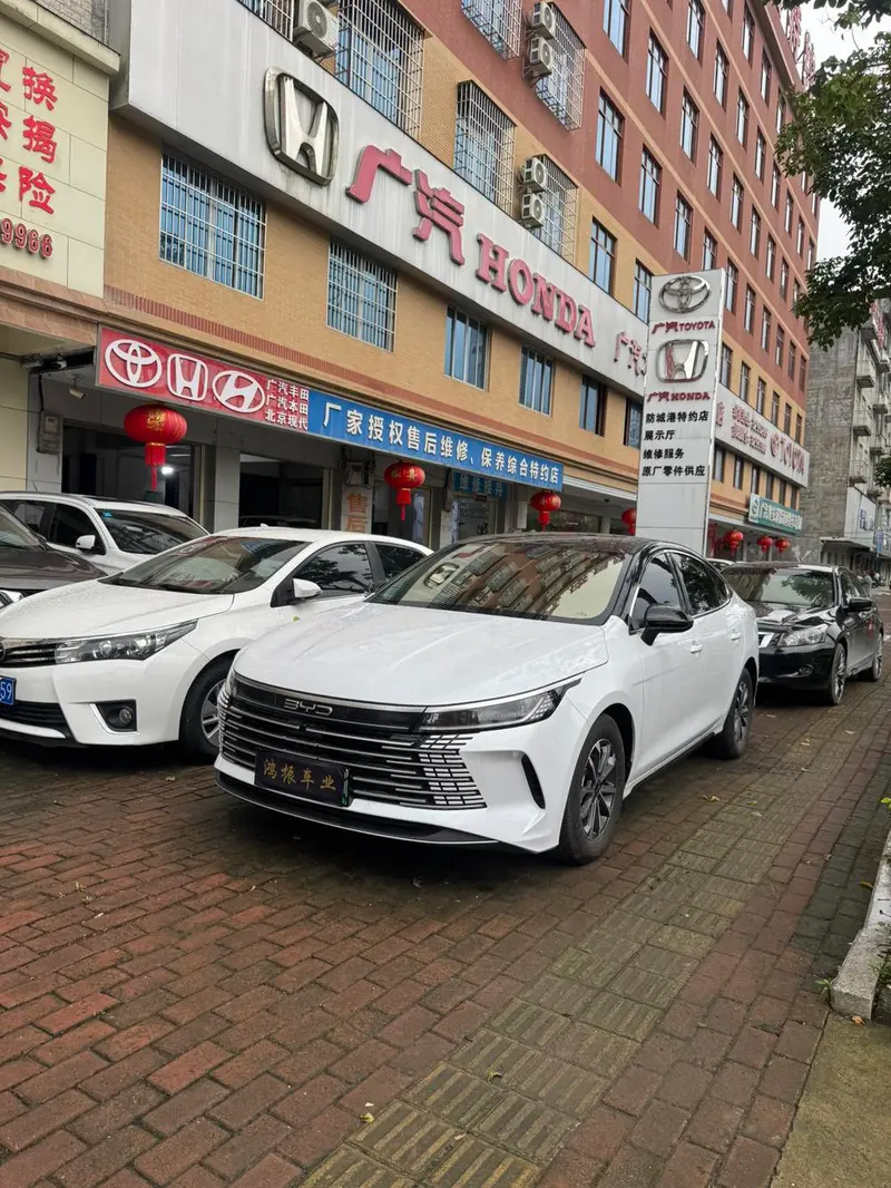 BYD Destroyer 05, 2024