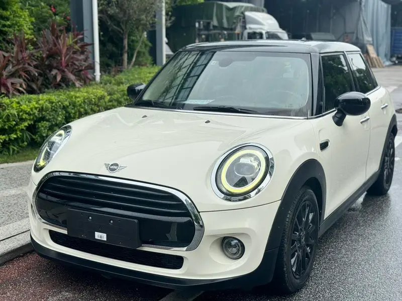 MINI MINI, 2018