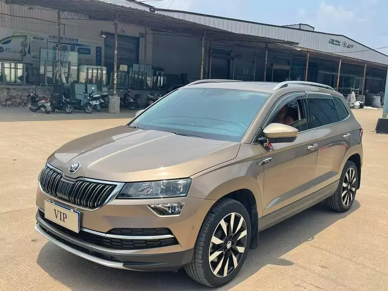 Skoda Karoq, 2019