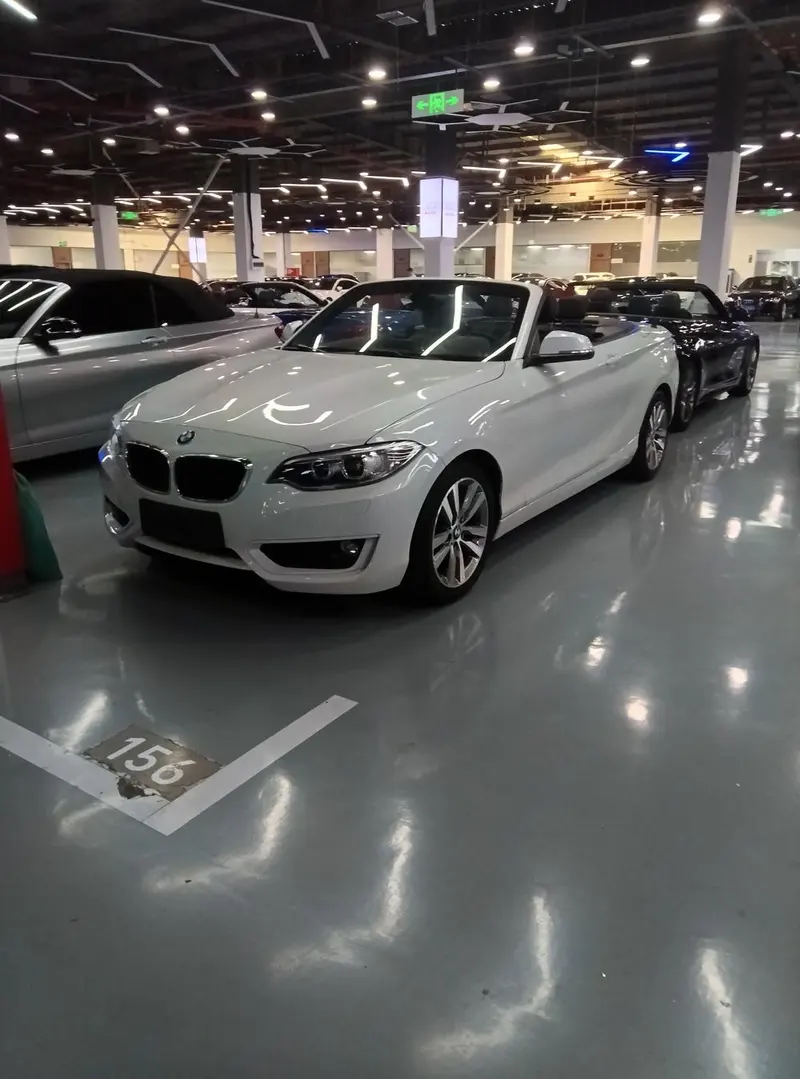 BMW 2-Series (Import), 2015