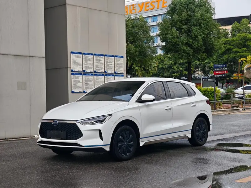 BYD e2, 2021
