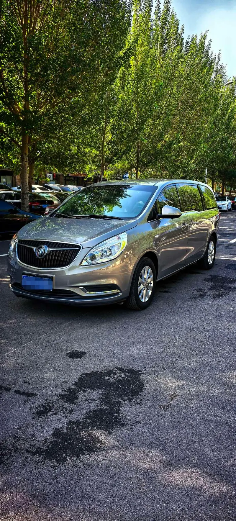 Buick GL8, 2018
