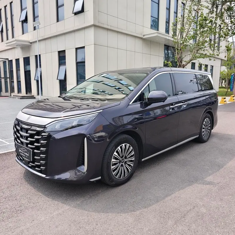 BYD Xia, 2025