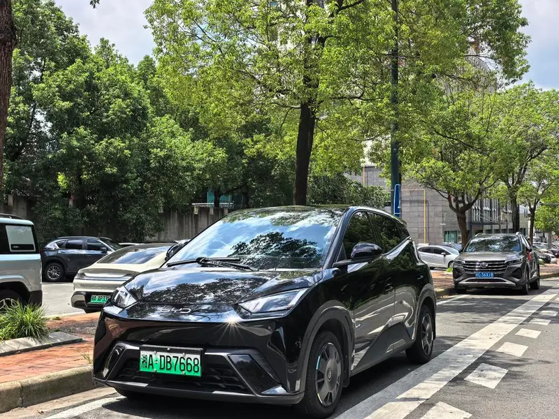 BYD Seagull, 2024