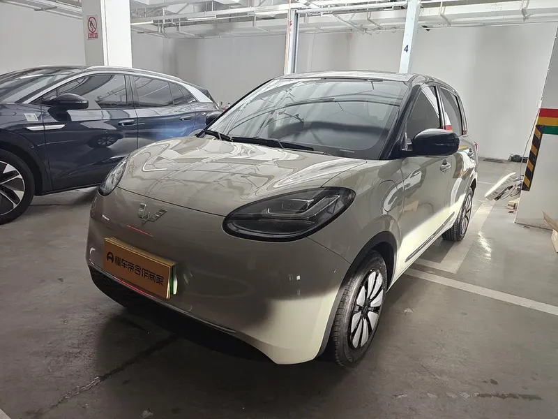 Wuling Bingo, 2024