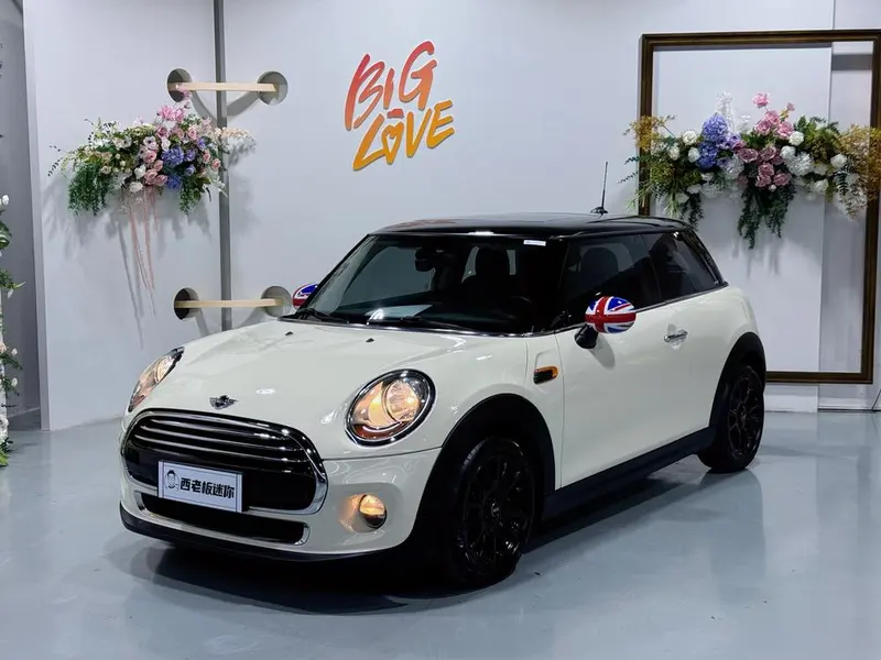 MINI MINI, 2016