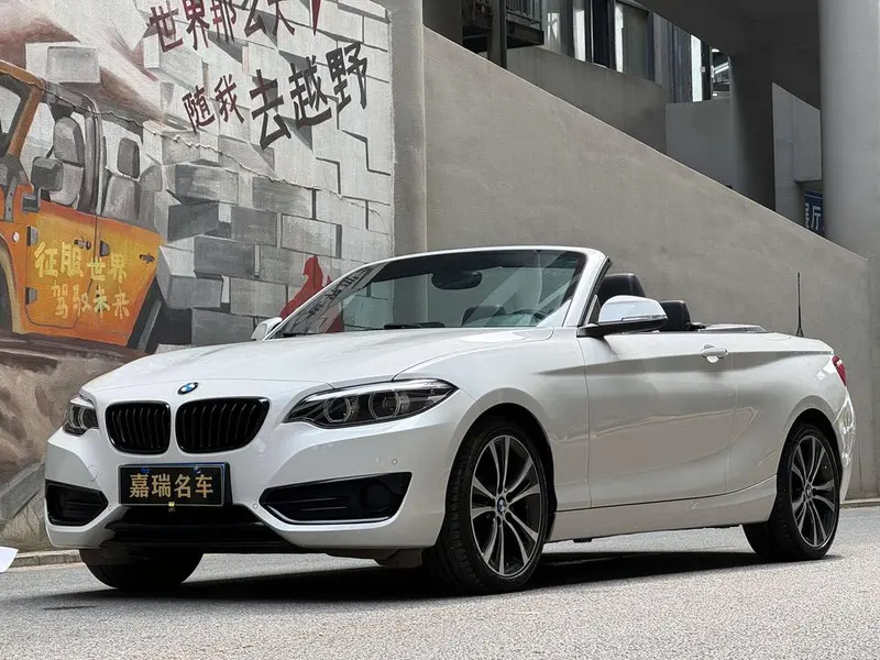 BMW 2-Series (Import), 2019