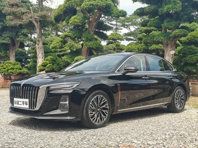 Hongqi H5, 2025