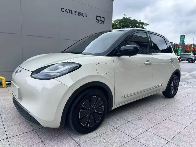 Wuling Bingo, 2023