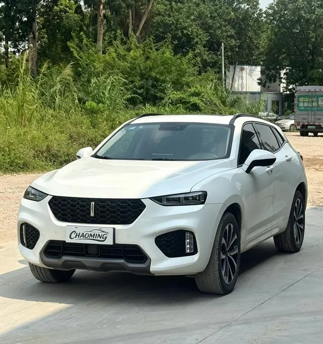 Wey VV7, 2017