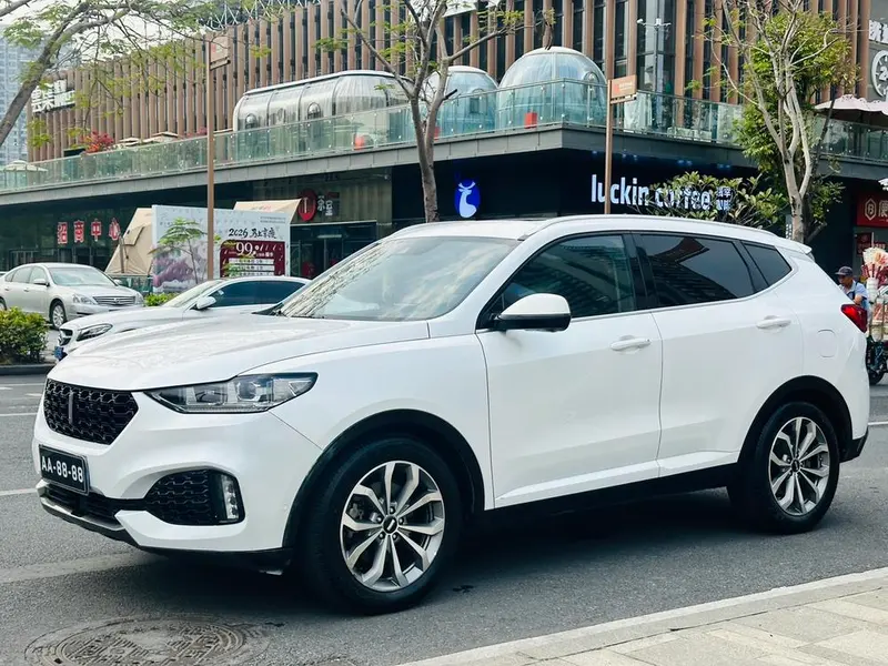 Wey VV6, 2018