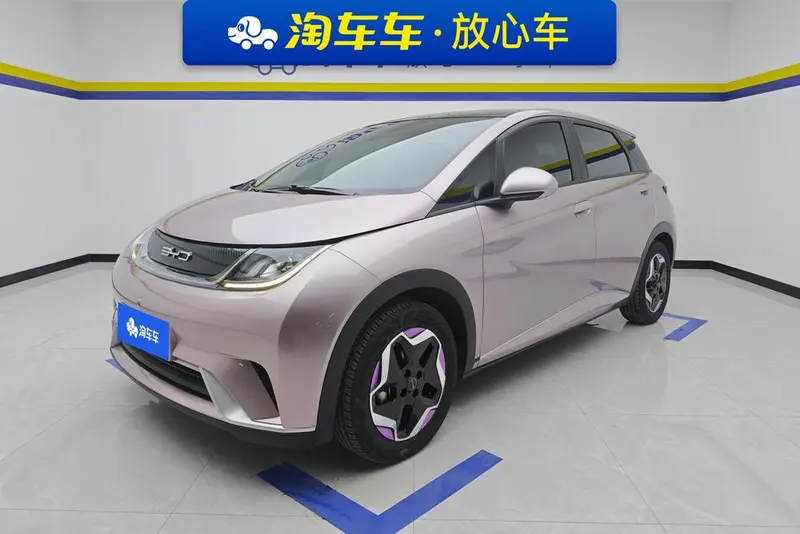 BYD Dolphin, 2021