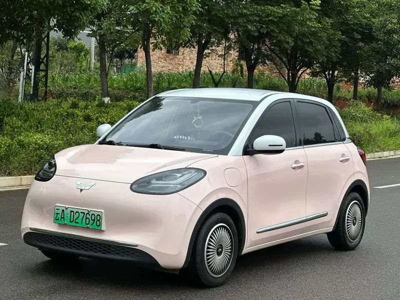 Wuling Bingo, 2024