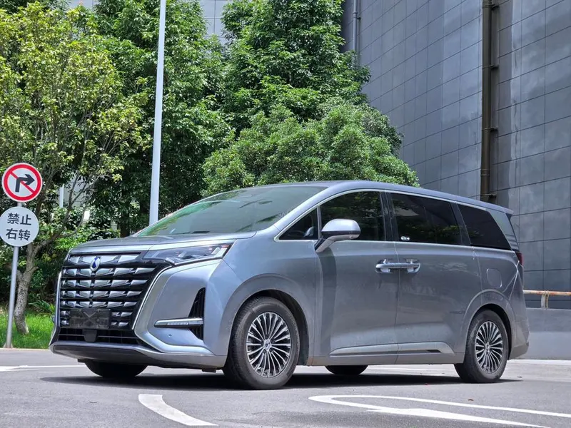 Denza D9 DM, 2024