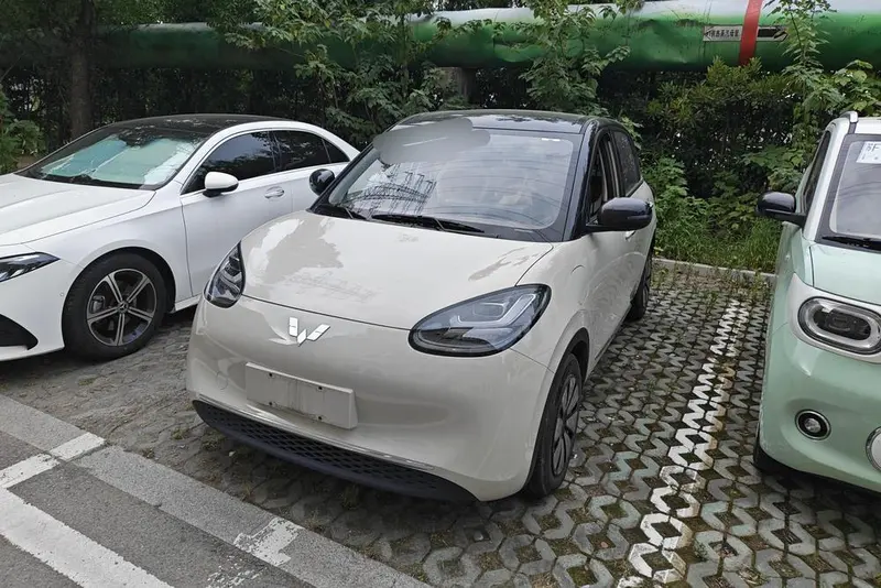 Wuling Bingo, 2024