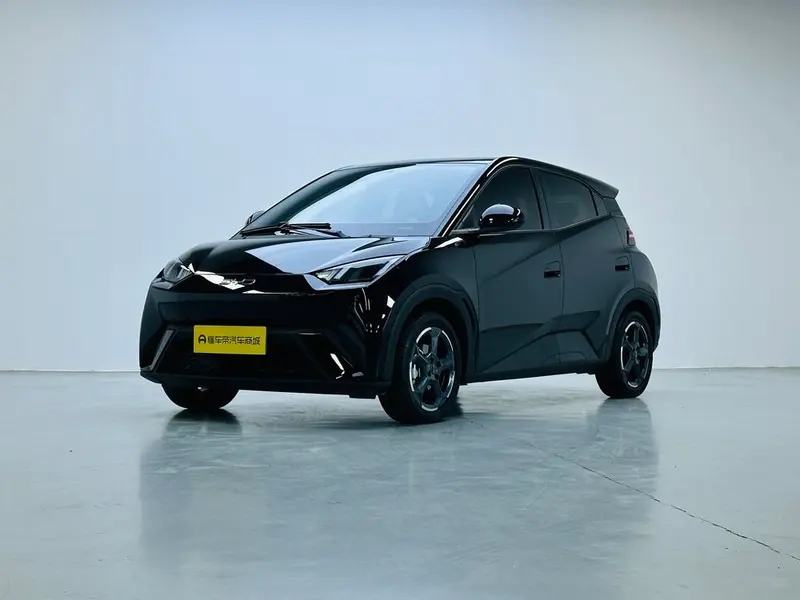 BYD Seagull, 2024