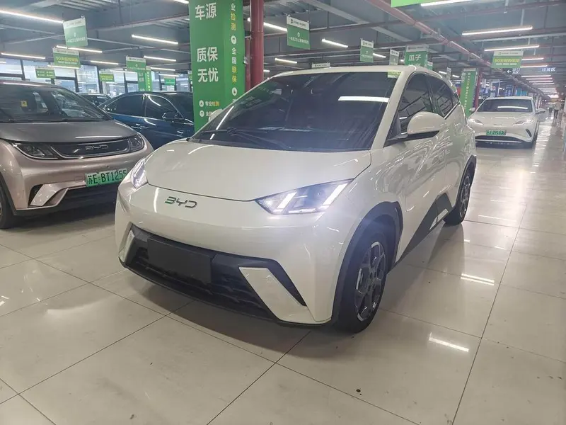 BYD Seagull, 2025