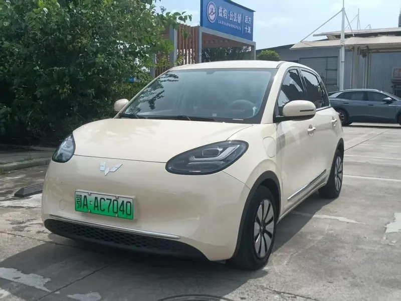 Wuling Bingo, 2025