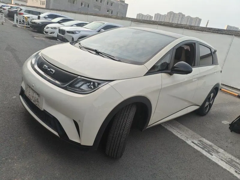 BYD Dolphin, 2023