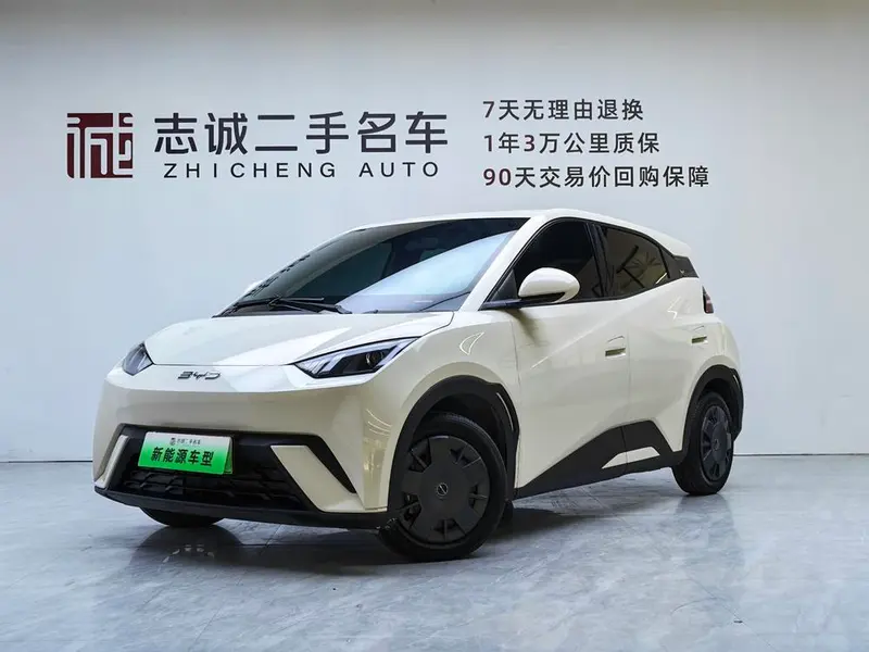 BYD Seagull, 2024