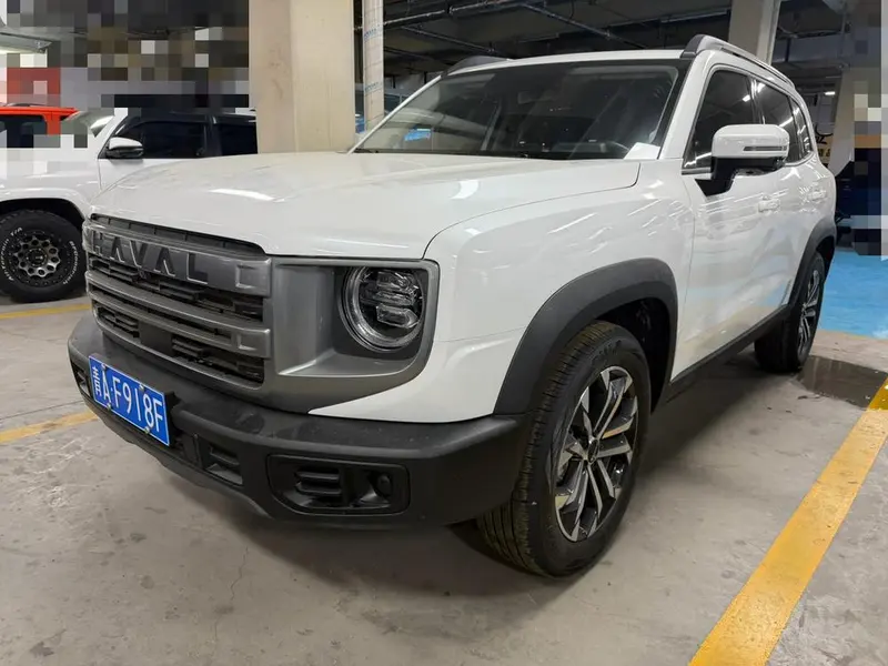 Haval Big Dog, 2024