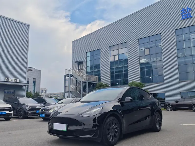 Tesla Model Y, 2021