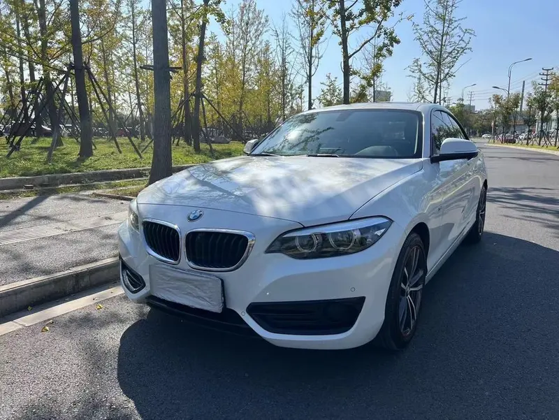 BMW 2-Series (Import), 2018
