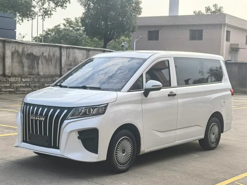 BAW Ruisheng Wangpai M7, 2023