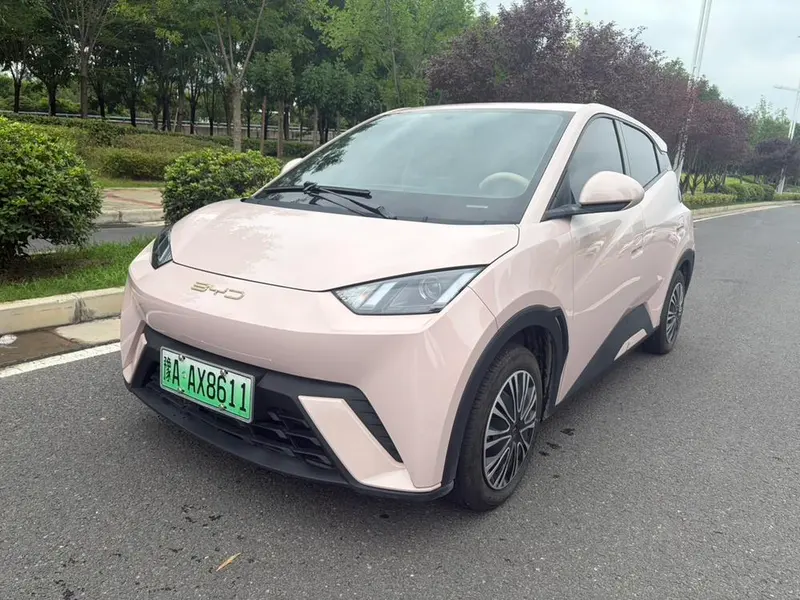 BYD Seagull, 2024