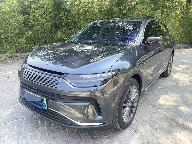 Leapmotor C11, 2024