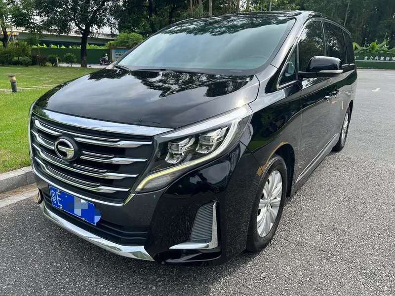GAC Trumpchi Trumpchi M8, 2020