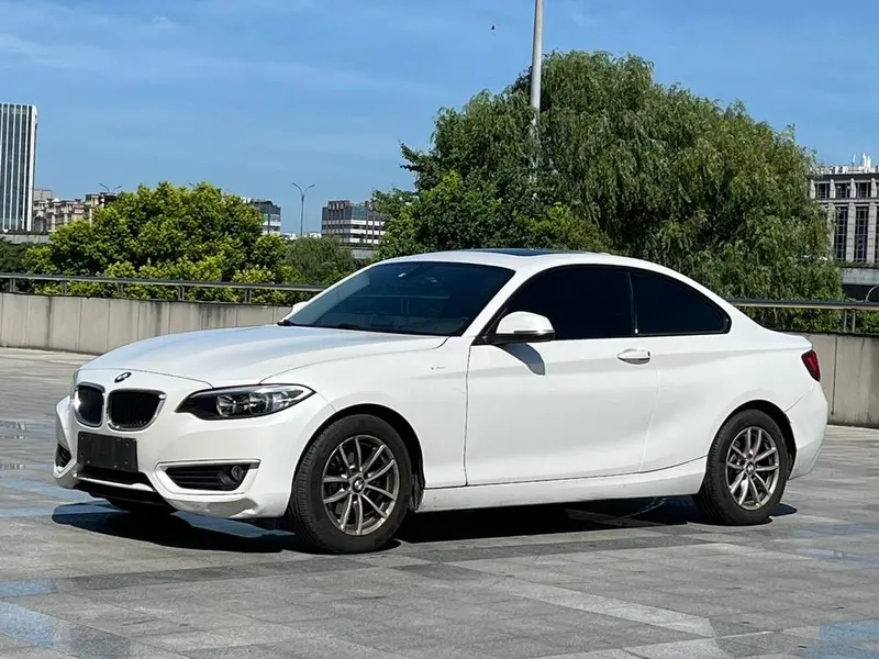 BMW 2-Series (Import), 2015