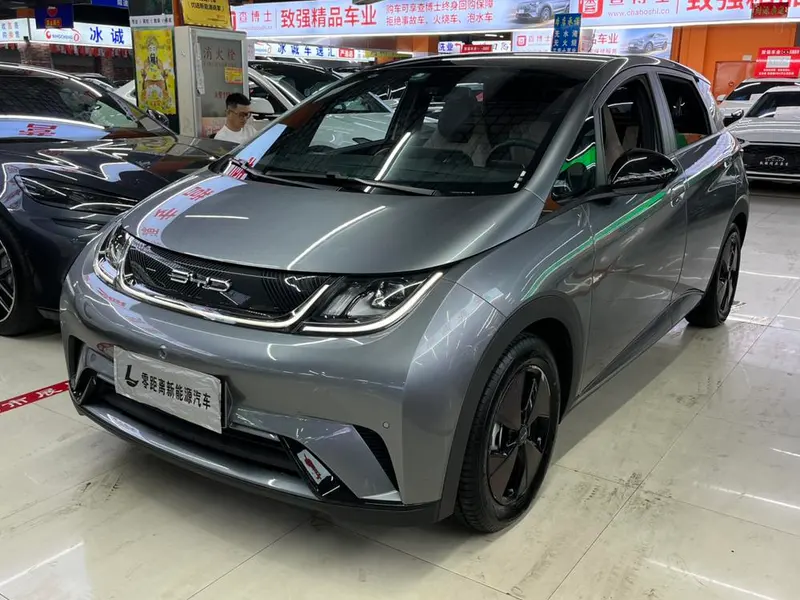 BYD Dolphin, 2023