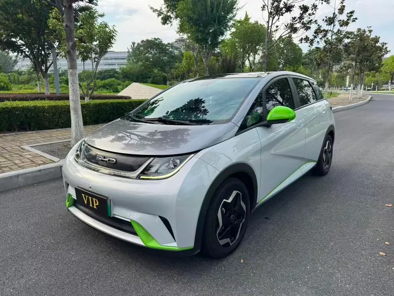 BYD Dolphin, 2021