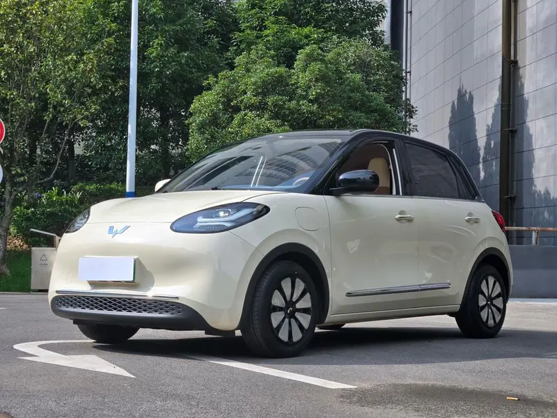 Wuling Bingo, 2025