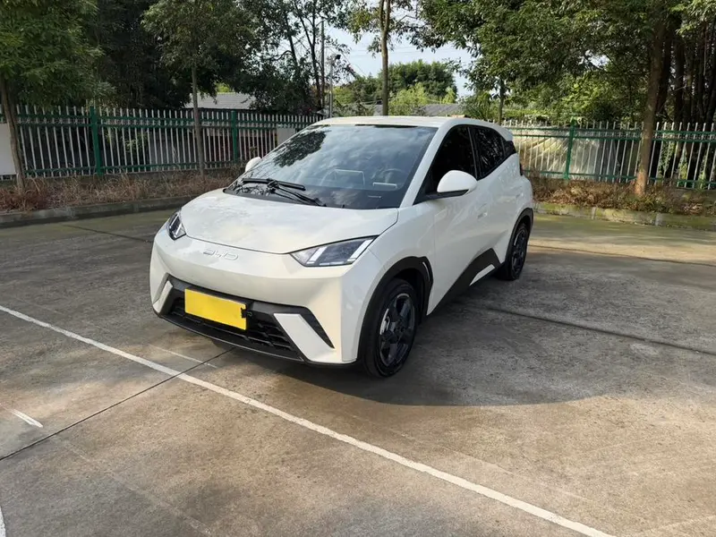 BYD Seagull, 2023