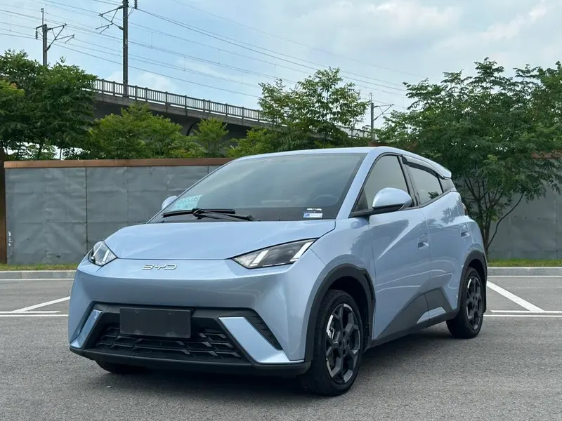 BYD Seagull, 2025
