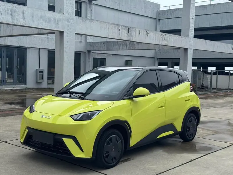BYD Seagull, 2024