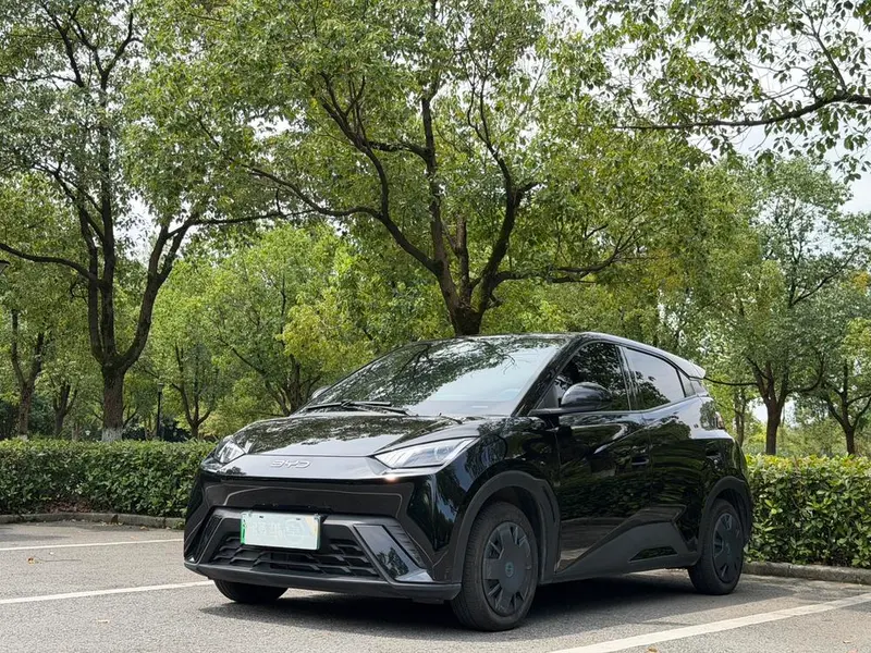 BYD Seagull, 2025