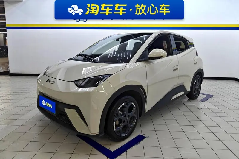 BYD Seagull, 2024