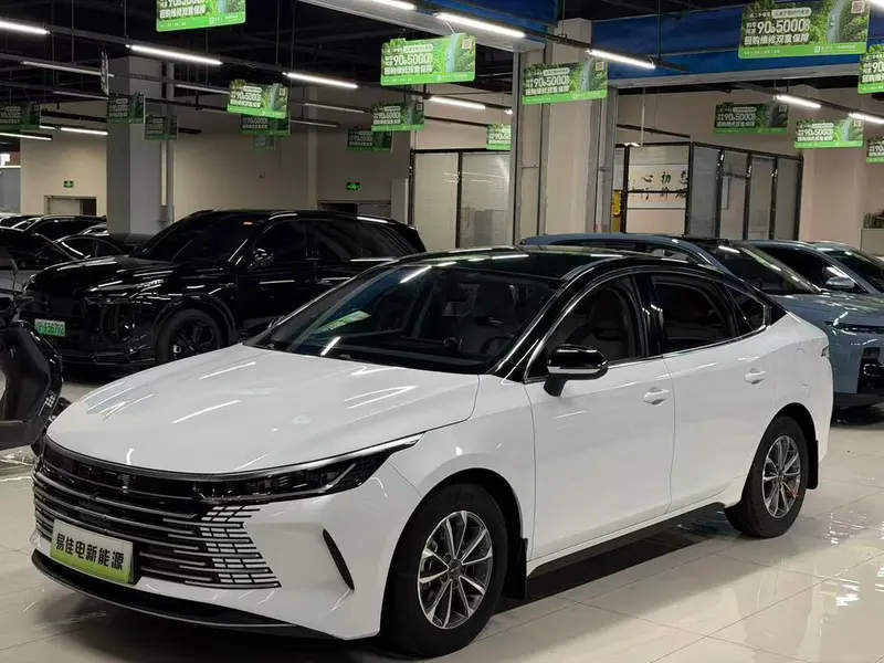 BYD Destroyer 05, 2023