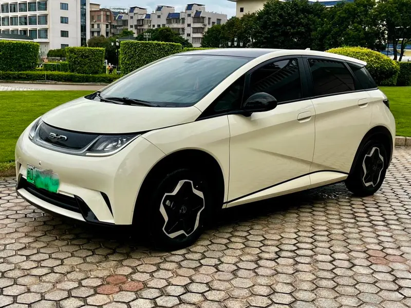 BYD Dolphin, 2021